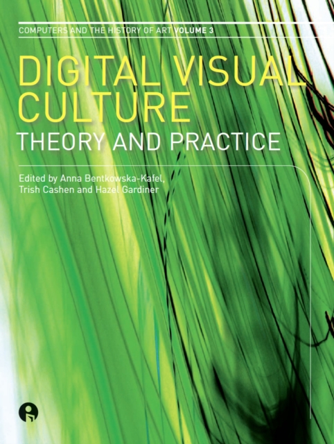 Digital Visual Culture : Theory and Practice, EPUB eBook