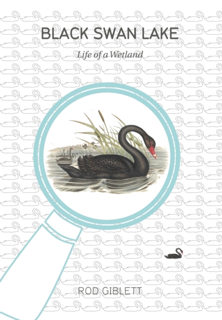 Black Swan Lake : Life of a Wetland, Paperback / softback Book