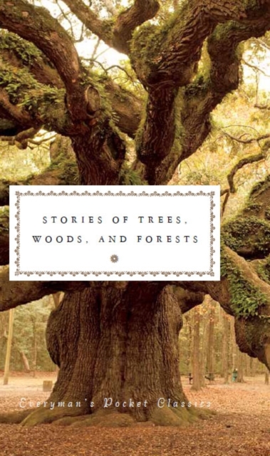 Stories of Trees, Woods, and Forests, Hardback Book