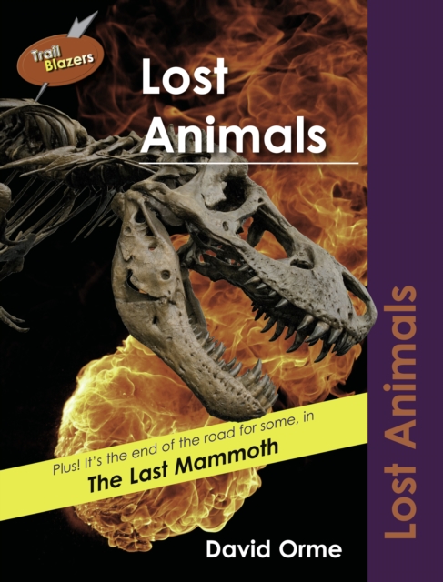 Lost Animals, Paperback / softback Book