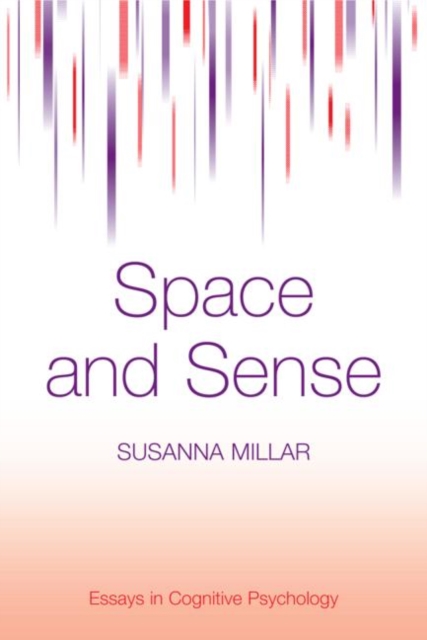Space and Sense, Hardback Book
