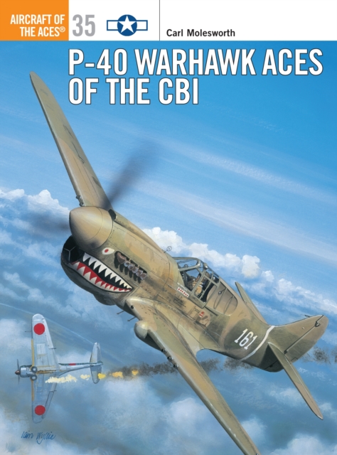 P-40 Warhawk Aces of the CBI, Paperback / softback Book