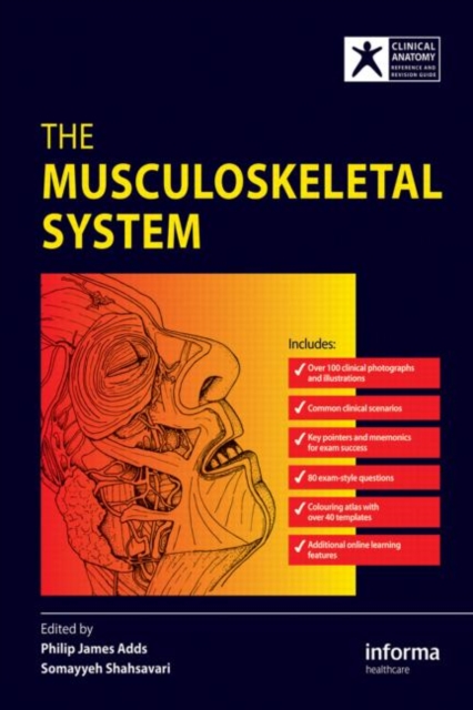 The Musculoskeletal System, Paperback / softback Book