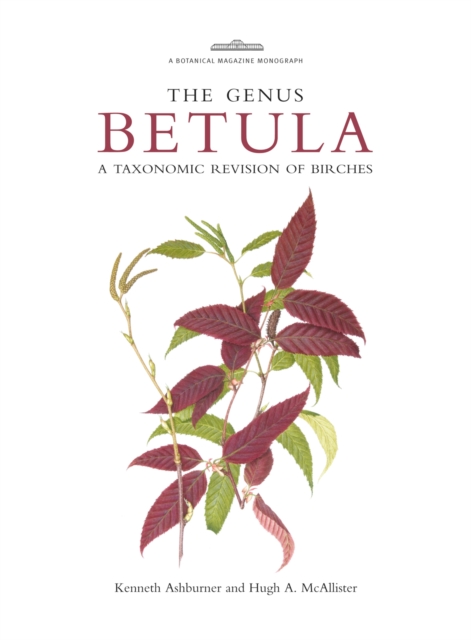 Botanical Magazine Monograph: The Genus Betula : A Taxonomic Revision of Birches, Hardback Book