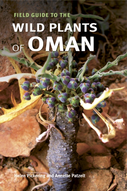 Field Guide to the Wild Plants of Oman, Hardback Book