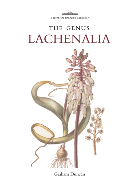 Botanical Magazine Monograph: The Genus Lachenalia : The Genus Lachenalias, Hardback Book