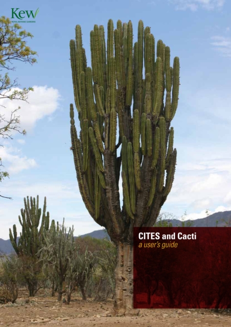 CITES and Cacti : A User's Guide, Paperback / softback Book