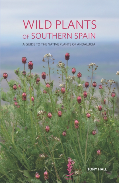 Wild Plants of Southern Spain : A Guide to the Native Plants of Andalucia, PDF eBook