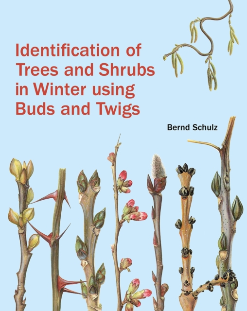 Identification of Trees and Shrubs in Winter Using Buds and Twigs, Hardback Book