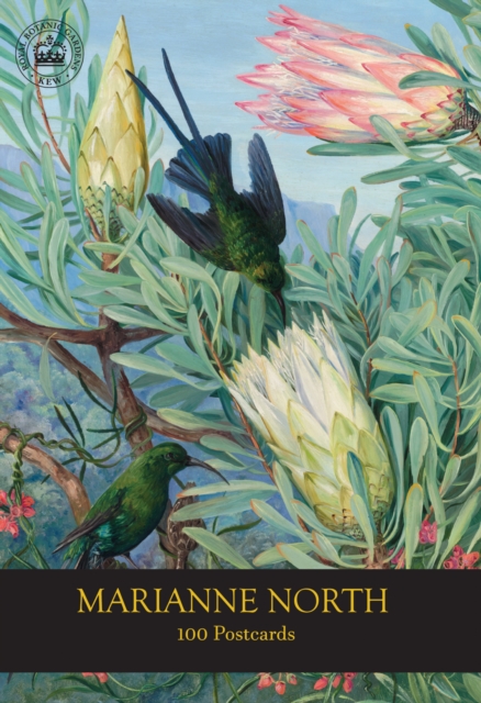 Marianne North 100 Postcards, Other book format Book