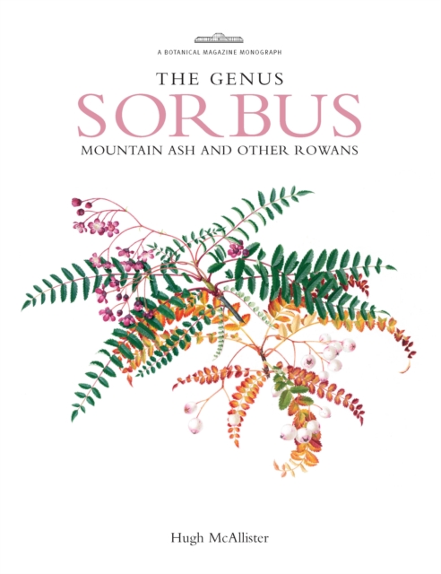 Genus Sorbus : mountain ash and other rowans, PDF eBook