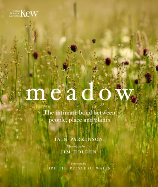 Meadow : The intimate bond between people, place and plants, Hardback Book