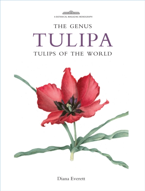 The Genus Tulipa : Tulips of the World, PDF eBook