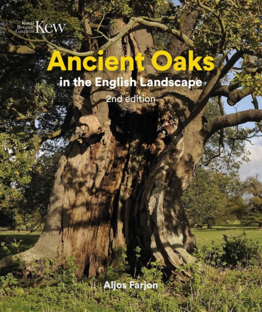 Ancient Oaks in the English Landscape, Hardback Book
