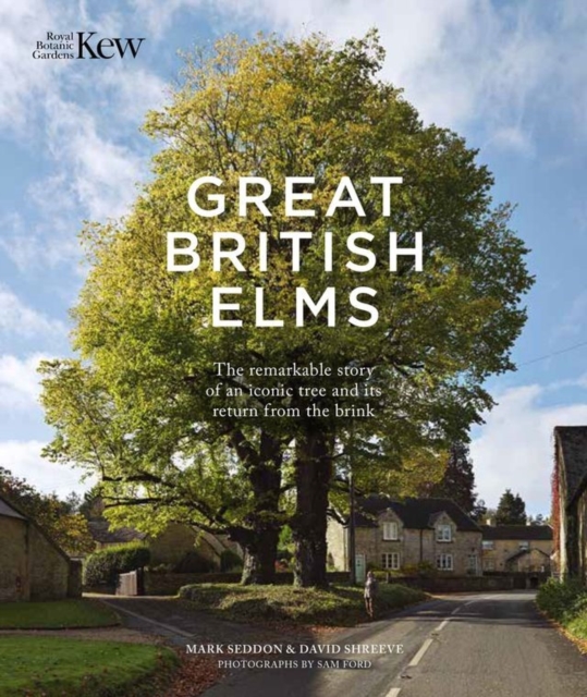 Great British Elms : The remarkable story of an iconic tree and it's return from the brink, Hardback Book