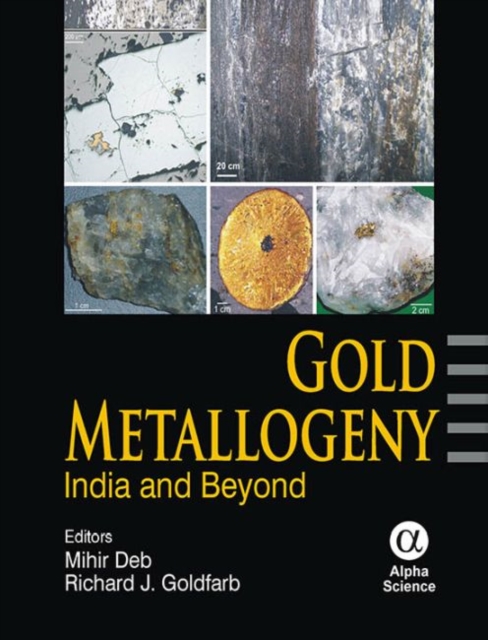 Gold Metallogeny : India and Beyond, Hardback Book