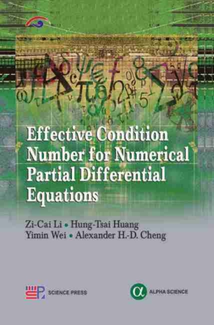 Effective Condition Number for Numerical Partial Differential Equations, Hardback Book
