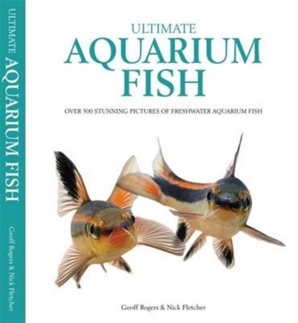Ultimate Aquarium Fish : Over 500 Stunning Pictures of Freshwater Aquarium Fish, Hardback Book