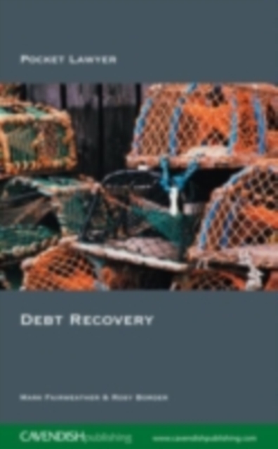 Debt Recovery, PDF eBook