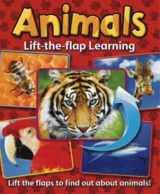 Lift-the-flap Learning: Animals, Board book Book