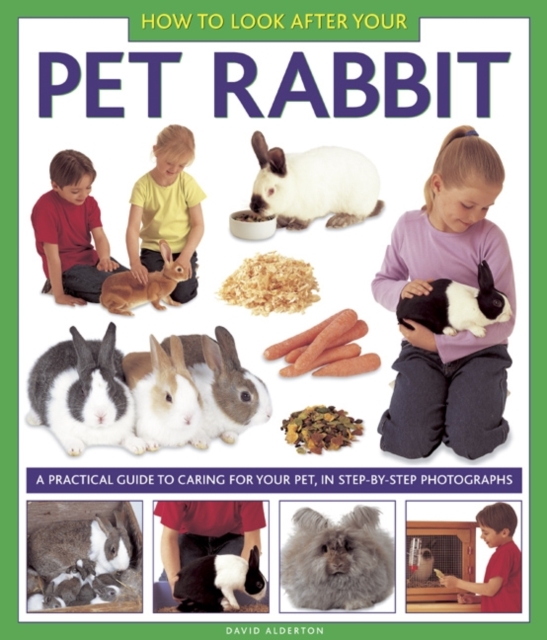 How to Look After Your Pet Rabbit, Hardback Book