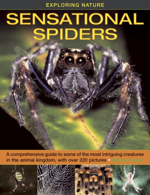 Exploring Nature : Sensational Spiders: A Comprehensive Guide to Some of the Most Intriguing Creatures in the Animal Kingdom, with Over 220 Pictures, Hardback Book