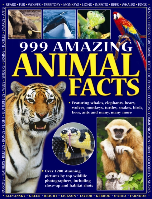 999 Amazing Animal Facts, Paperback / softback Book