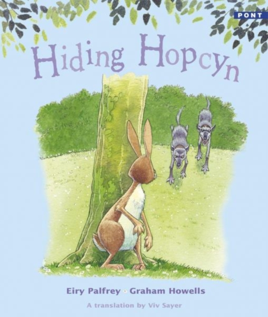 Hiding Hopcyn, Paperback / softback Book