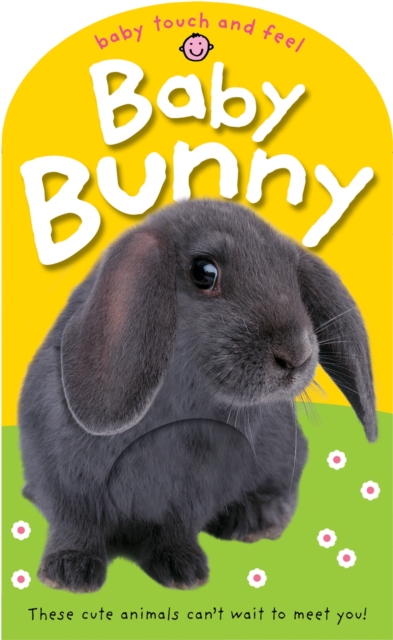 Baby Bunny : Baby Touch & Feel, Board book Book