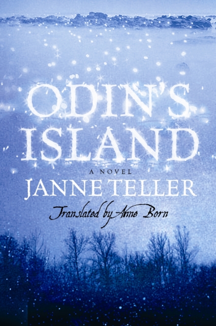 Odin's Island, Paperback / softback Book