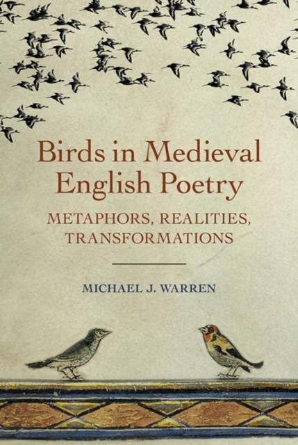 Birds in Medieval English Poetry : Metaphors, Realities, Transformations, Hardback Book