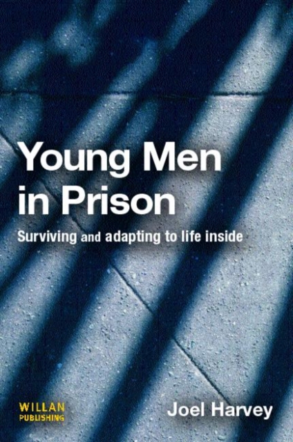 Young Men in Prison, Hardback Book