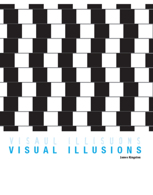 Visual Illusions, EPUB eBook