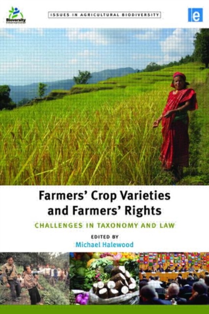 Farmers' Crop Varieties and Farmers' Rights : Challenges in Taxonomy and Law, Hardback Book