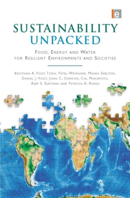 Sustainability Unpacked : Food, Energy and Water for Resilient Environments and Societies, Hardback Book