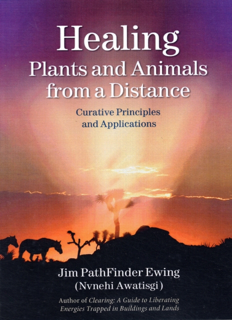Healing Plants and Animals from a Distance : Curative Principles and Applications, Paperback / softback Book