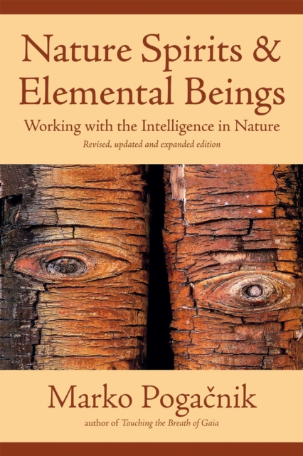 Nature Spirits & Elemental Beings : Working with the Intelligence in Nature, EPUB eBook