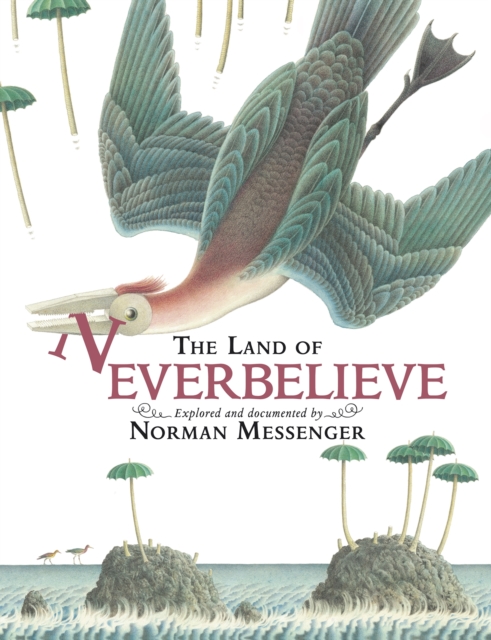 The Land of Neverbelieve, Hardback Book