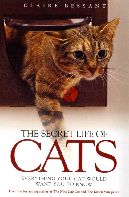 The Secret Life of Cats : Everything Your Cat Would Want You to Know, Paperback / softback Book
