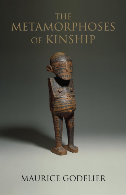Metamorphoses of Kinship, EPUB eBook