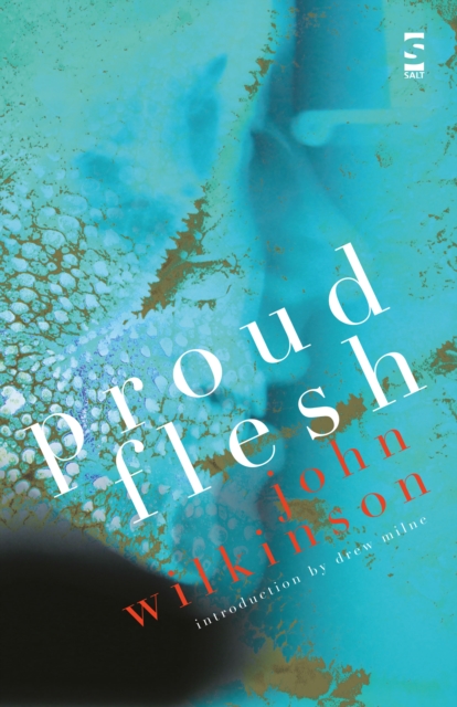 Proud Flesh, Paperback / softback Book