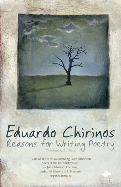 Reasons for Writing Poetry, Paperback / softback Book