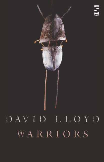Warriors, Paperback / softback Book