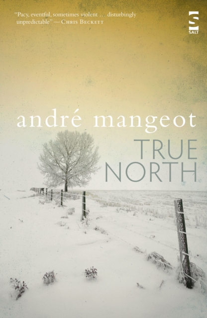 True North, Paperback / softback Book