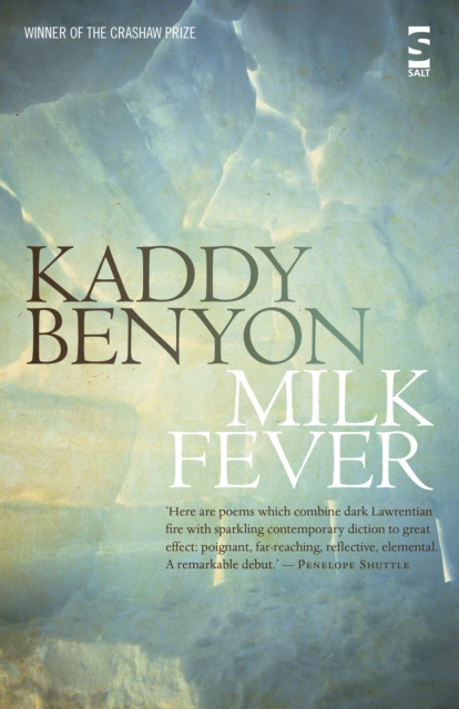Milk Fever, Paperback / softback Book
