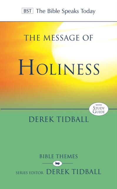 The Message of Holiness : Restoring God'S Masterpiece, Paperback / softback Book