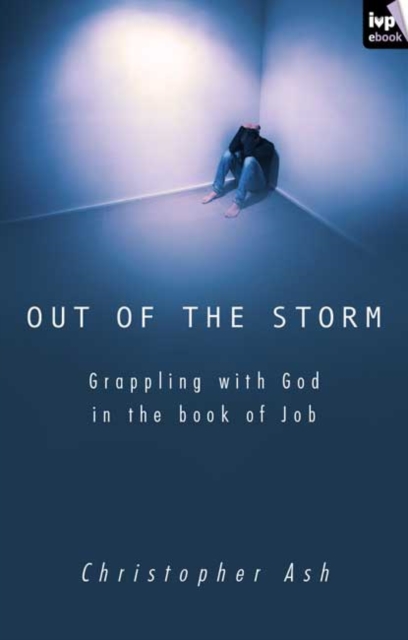 Out of the storm, EPUB eBook