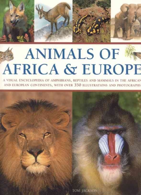 Animals of Africa and Europe, Paperback / softback Book