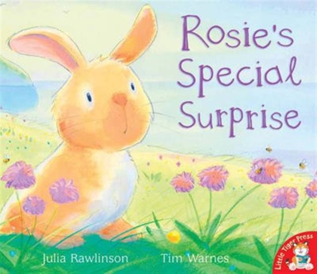 Rosie's Special Surprise, Paperback / softback Book