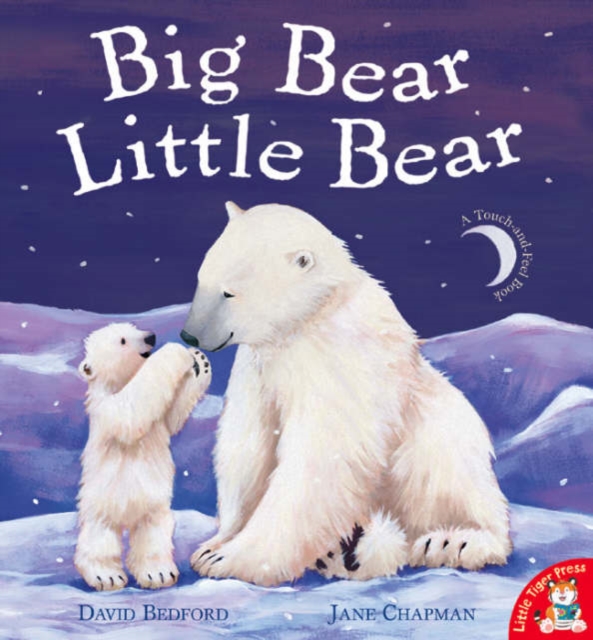 Big Bear Little Bear, Paperback / softback Book